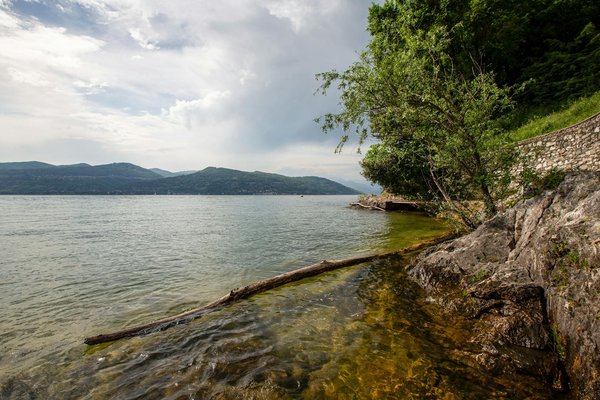 Comment organiser une croisière pour explorer les îles Galápagos avec des naturalistes?