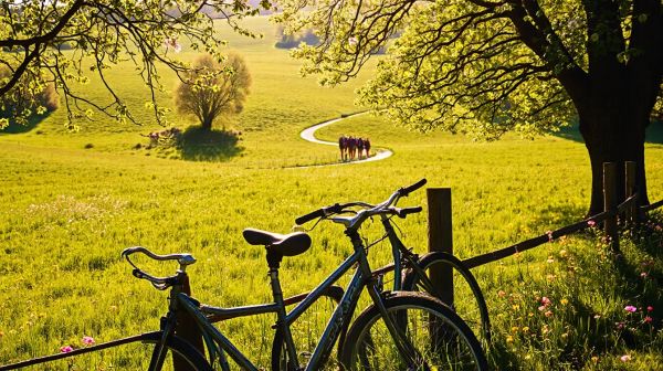 Top endroits pour profiter des activités en plein air en Île-de-France